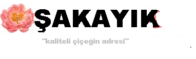 akayk iek Logo